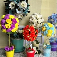 Портфолио Екатерина